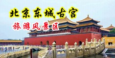 骚逼黄色影院中国北京-东城古宫旅游风景区